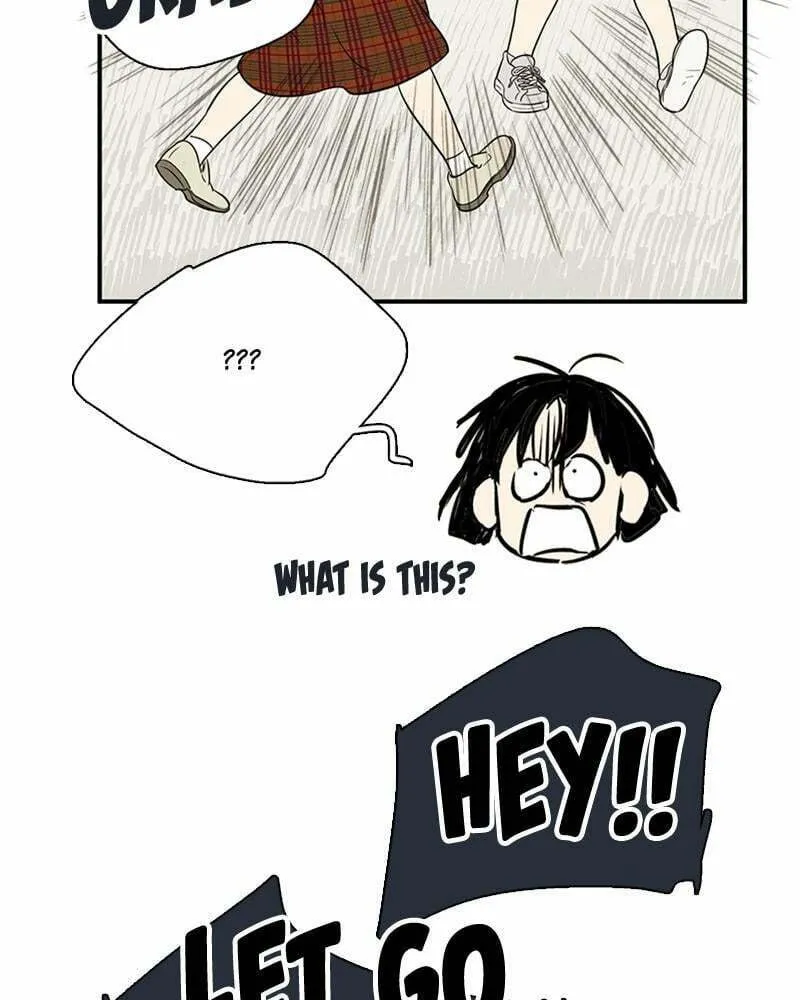 After School Lessons for Unripe Apples Chapter 69 page 23 - 