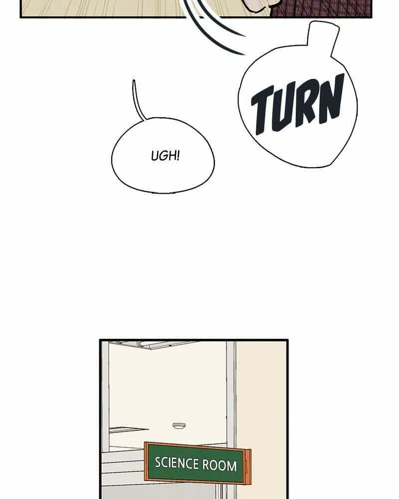 After School Lessons for Unripe Apples Chapter 71 page 244 - 