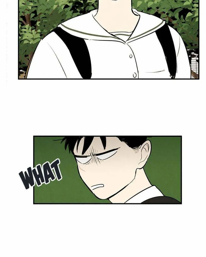 After School Lessons for Unripe Apples Chapter 73 page 38 - 