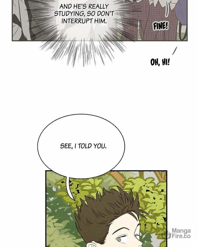 After School Lessons for Unripe Apples Chapter 73 page 40 - 