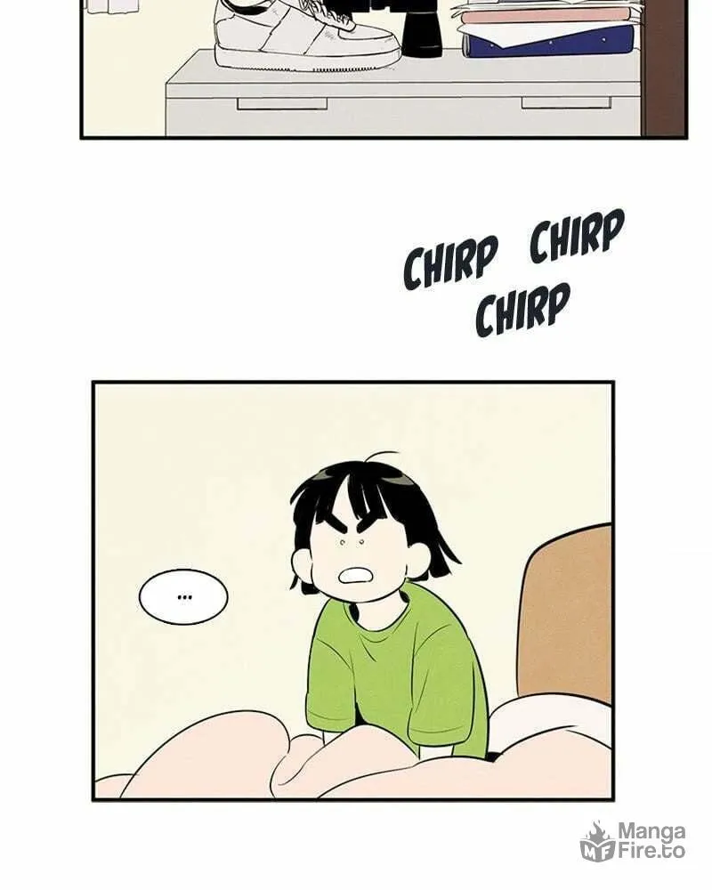 After School Lessons for Unripe Apples Chapter 78 page 234 - 