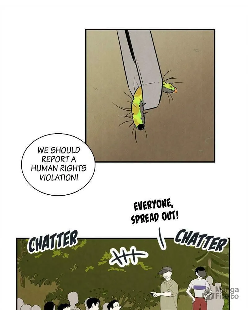 After School Lessons for Unripe Apples Chapter 78 page 245 - 
