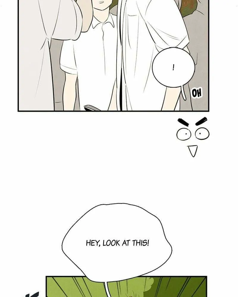 After School Lessons for Unripe Apples Chapter 78 page 251 - 