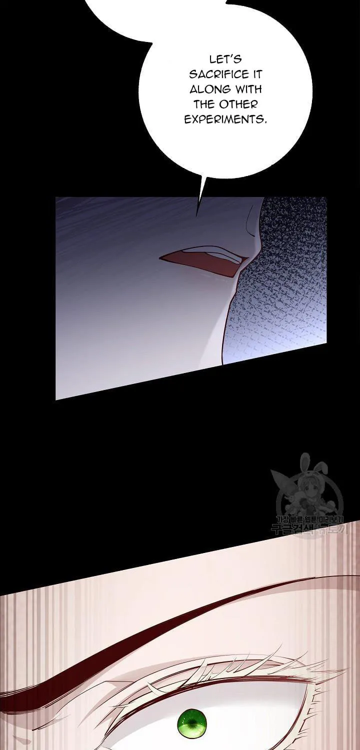 After the Frozen Heart Melts Chapter 14 page 13 - 