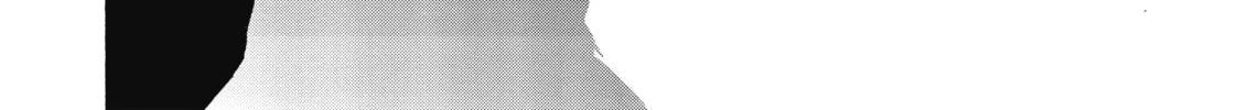 Akashic Records of Bastard Magic Instructor Chapter 23 page 32 - 
