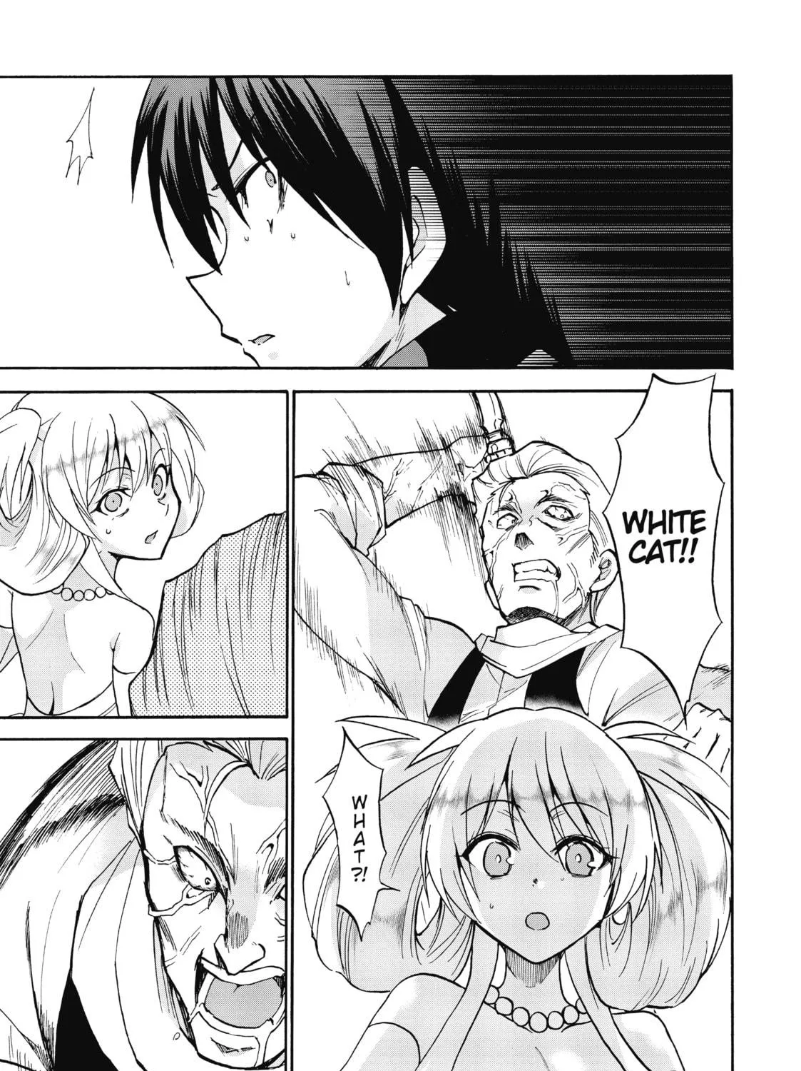Akashic Records of Bastard Magic Instructor Chapter 31 page 47 - 