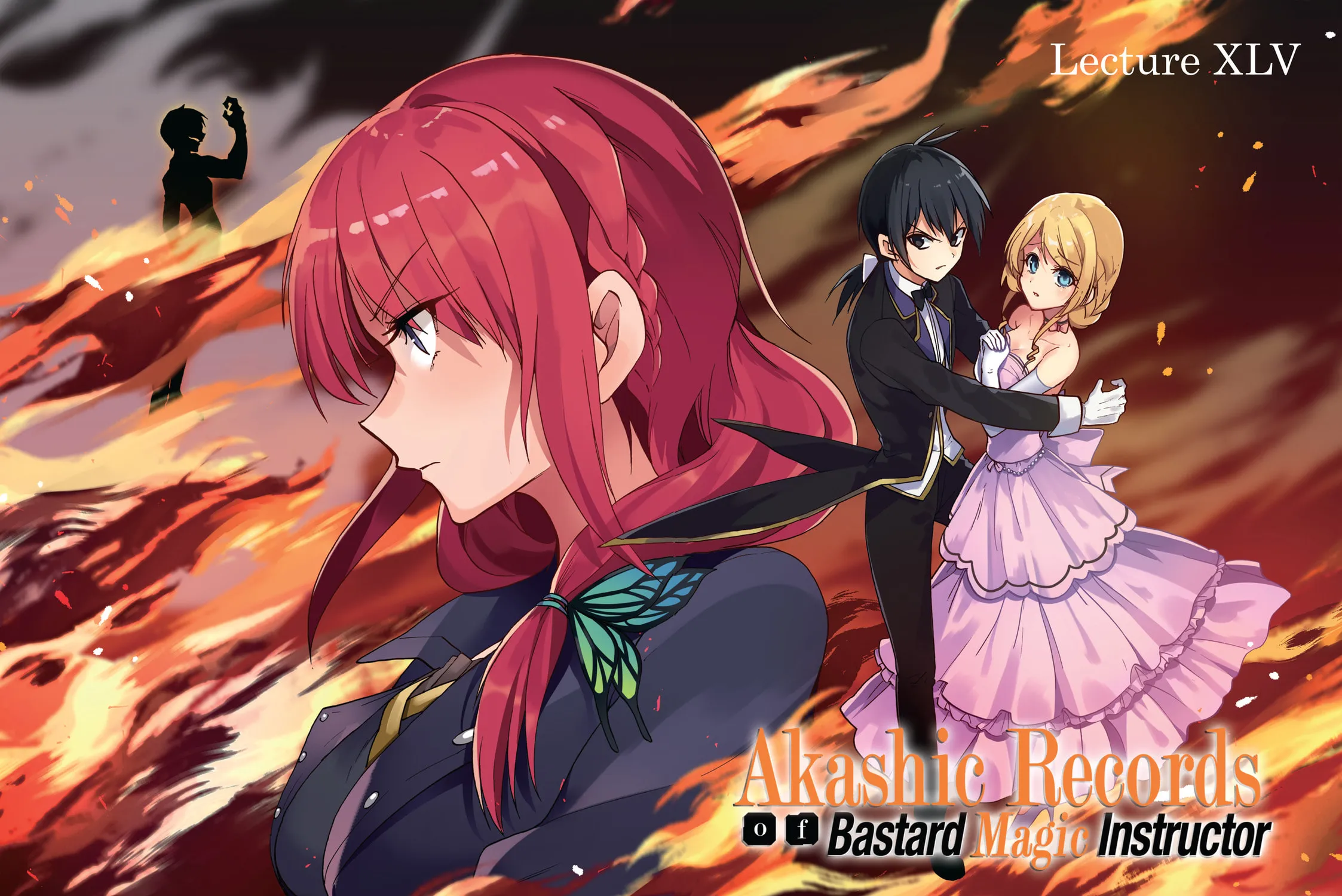 Akashic Records of Bastard Magic Instructor Chapter 45 page 3 - 
