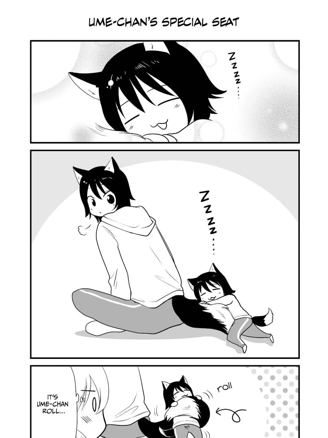 Akazukin ni Taberareta Oukami Chapter 16.5 page 3 - 