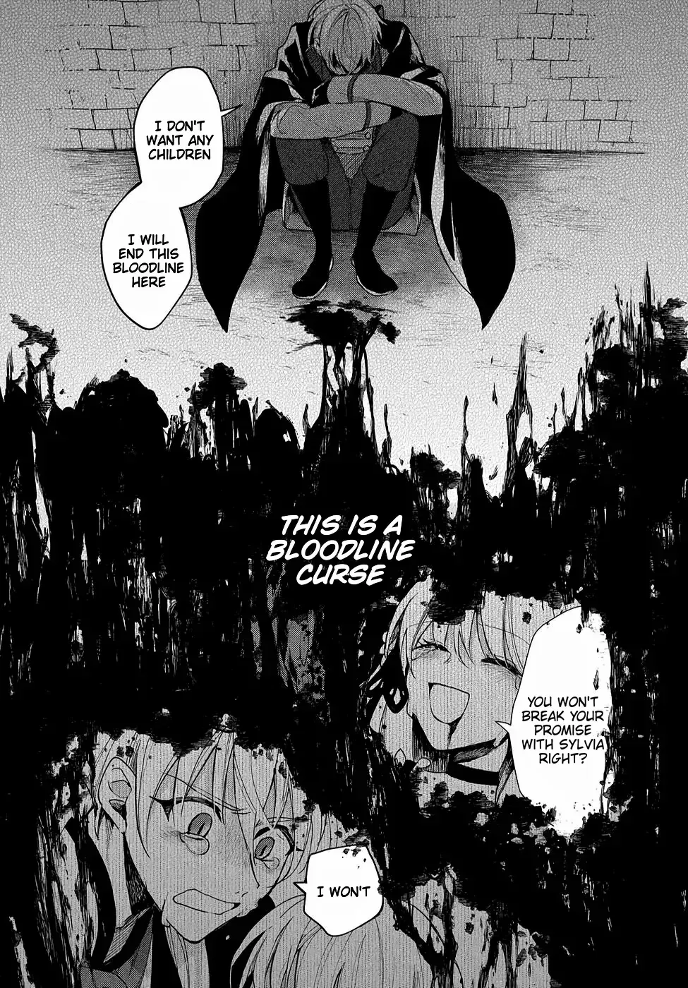 Akuyaku Reijou no Onii-sama wa Kouryaku Taishougaidesu!! Chapter 8 page 3 - 