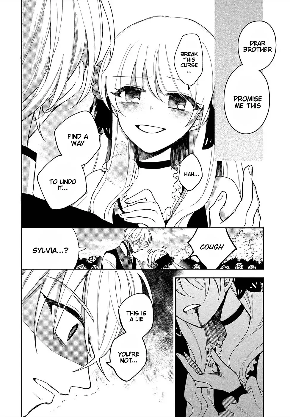 Akuyaku Reijou no Onii-sama wa Kouryaku Taishougaidesu!! Chapter 8 page 26 - 