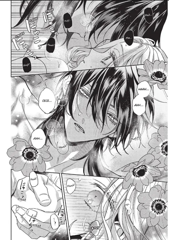 Akuyaku Reijou to Kichiku Kishi Chapter 17.1 page 5 - 