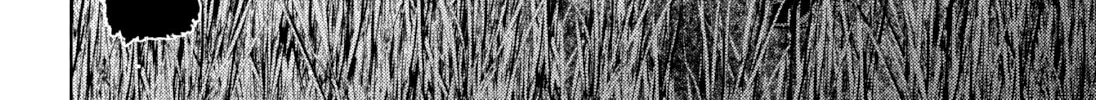 Alice on Border Road Chapter 2 page 98 - 