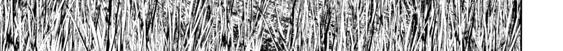 Alice on Border Road Chapter 3 page 3 - 