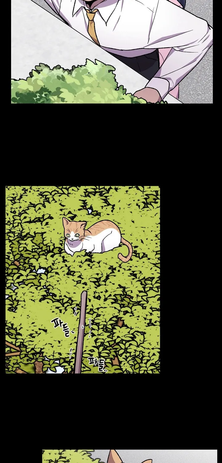 Alice (Yang Kipul) Chapter 13 page 39 - 