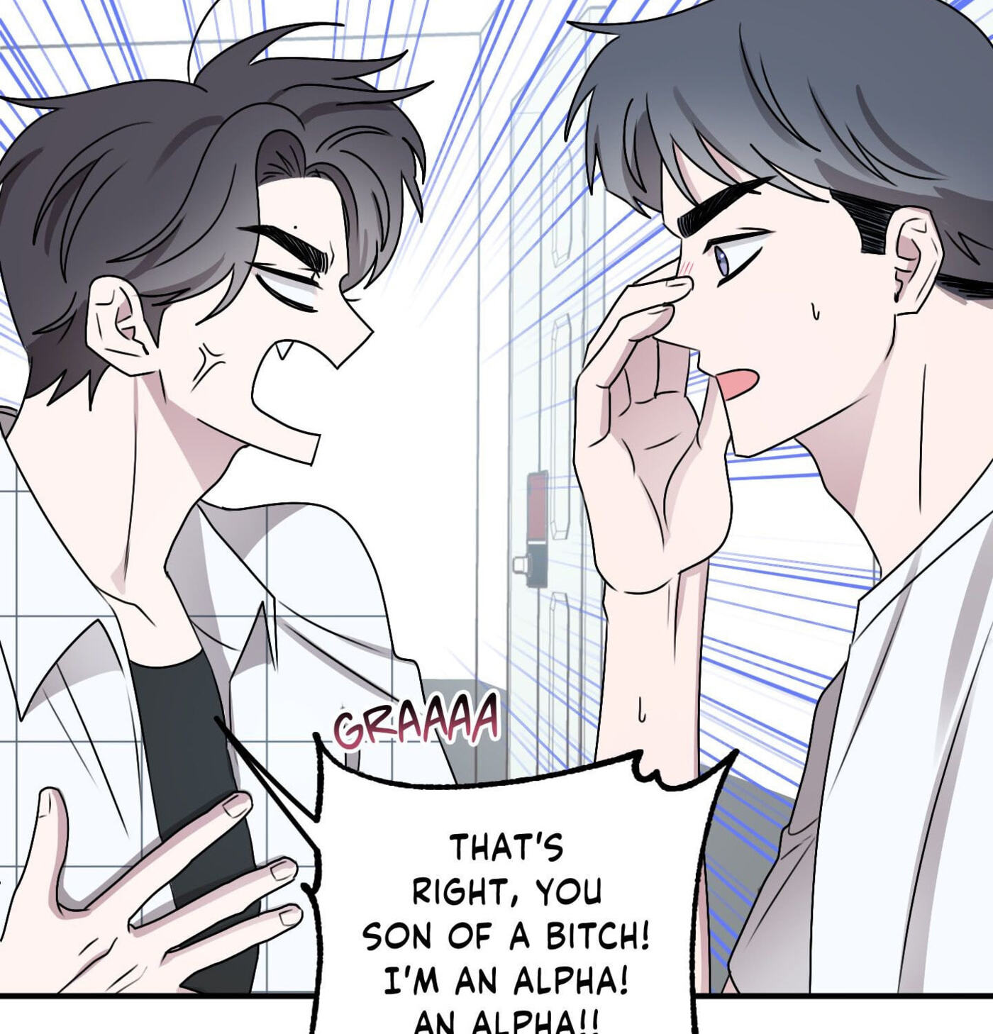 Alpha Equation Chapter 12 page 96 - 