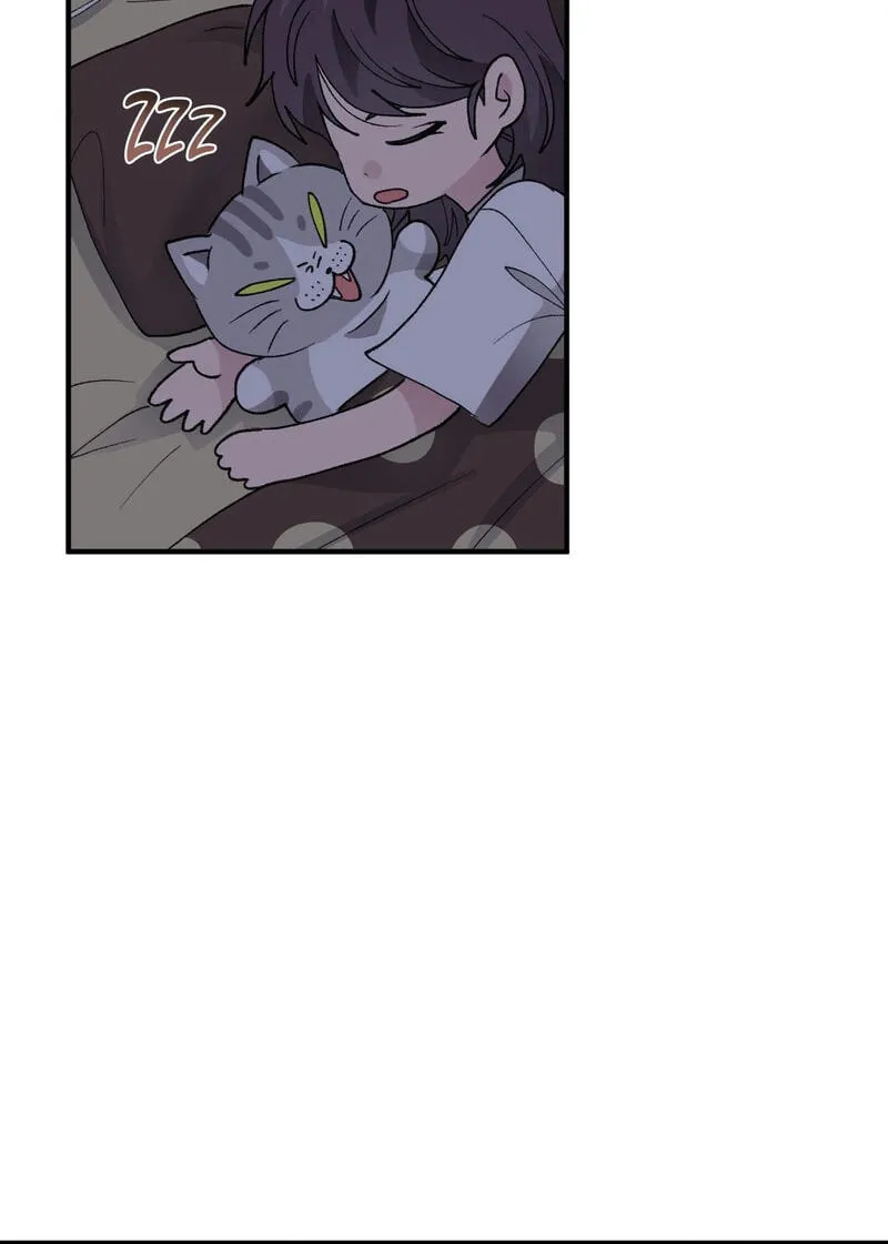 Alpha Equation Chapter 26 page 70 - 