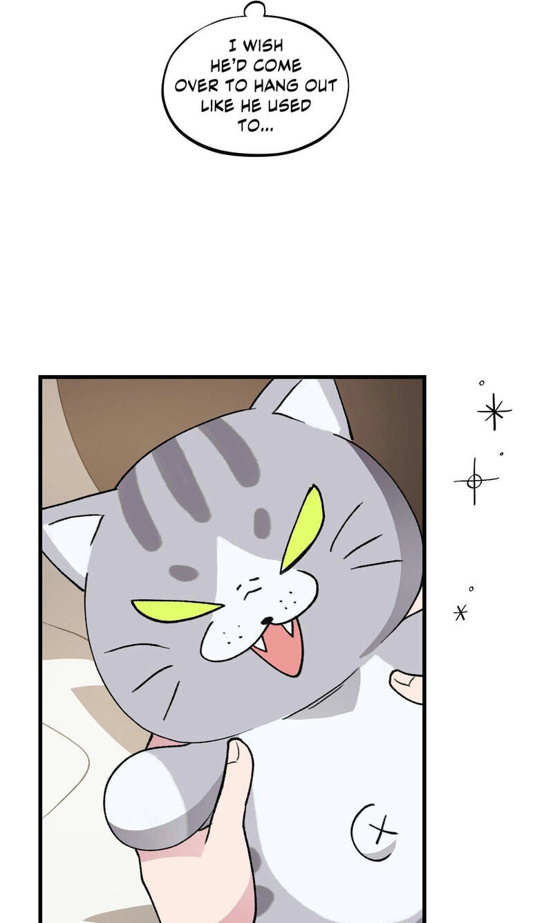 Alpha Equation Chapter 27 page 38 - 