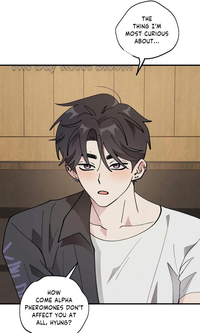 Alpha Equation Chapter 29 page 46 - 