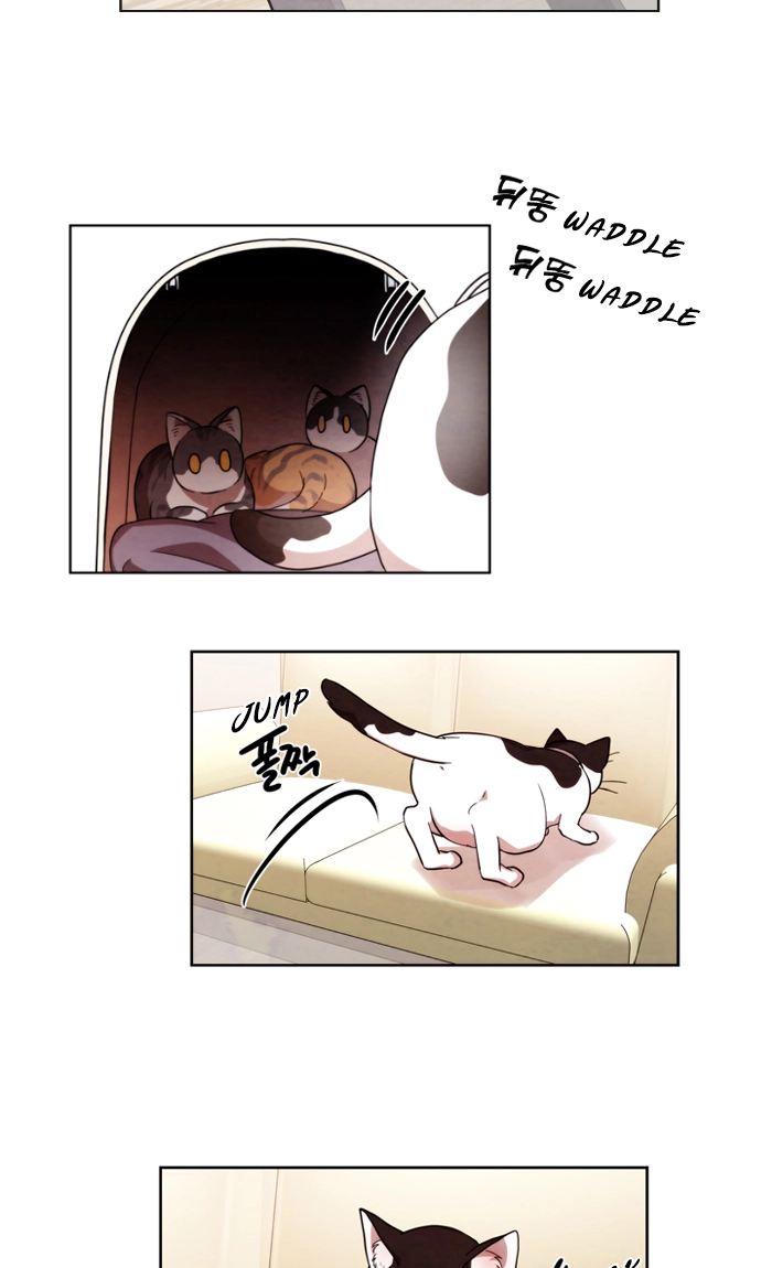 Always You Chapter 46.1 page 33 - 
