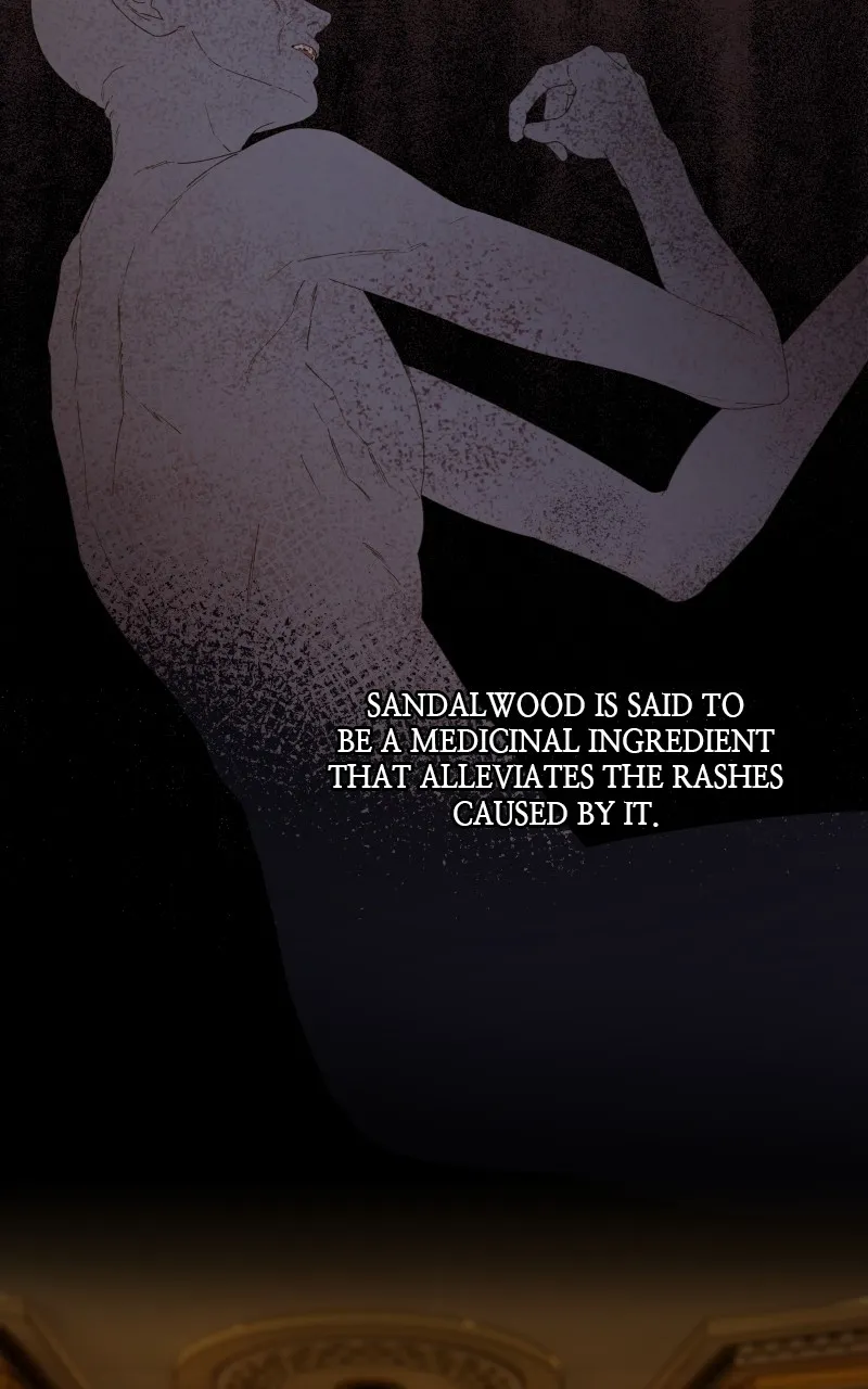 Amongst the Tainted Chapter 8 page 47 - 
