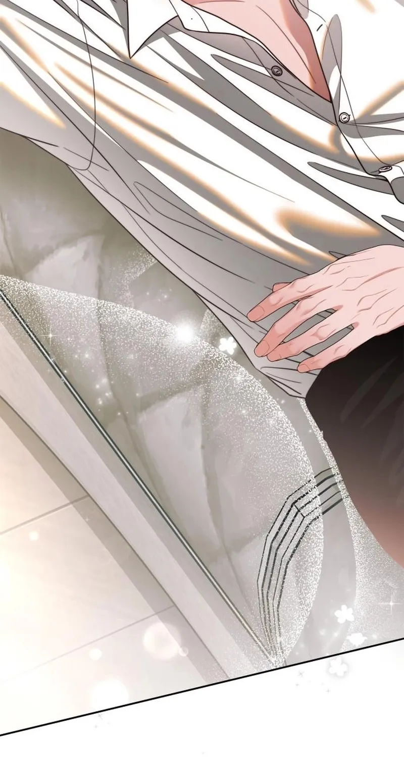 An Impulsive Marriage Proposal Chapter 20 page 61 - 
