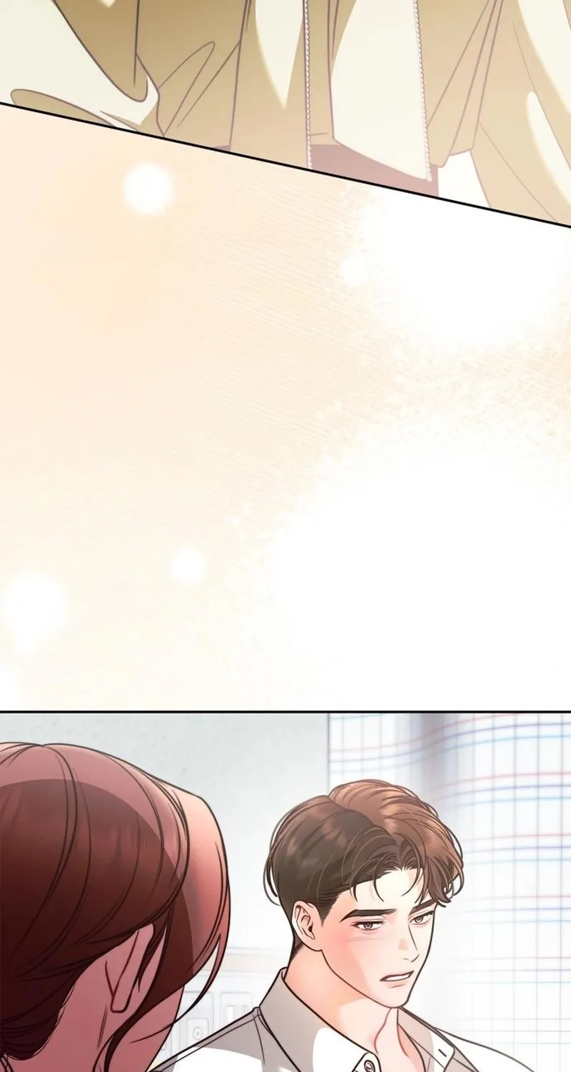 An Impulsive Marriage Proposal Chapter 21 page 25 - 