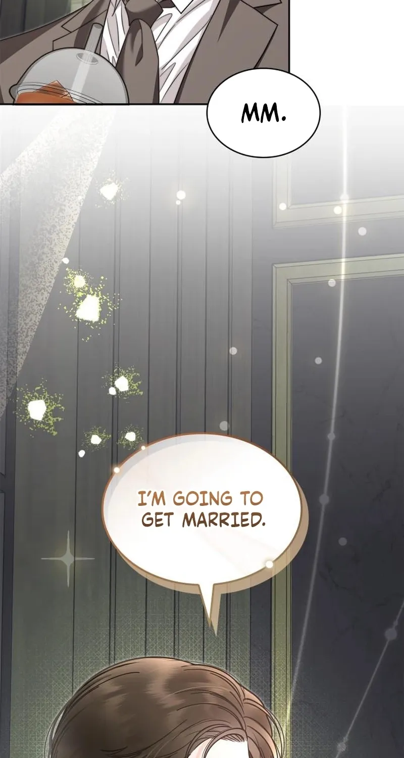 An Impulsive Marriage Proposal Chapter 22 page 28 - 