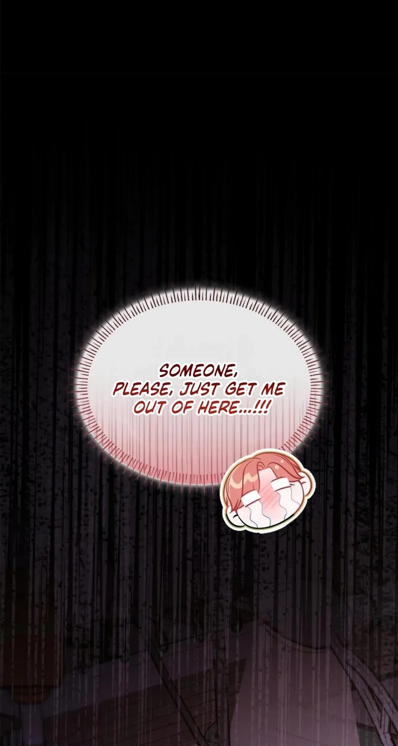 An Impulsive Marriage Proposal Chapter 24 page 73 - 