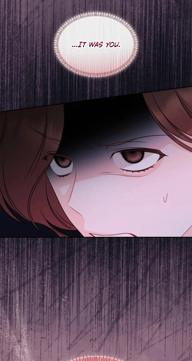 An Impulsive Marriage Proposal Chapter 25 page 95 - 
