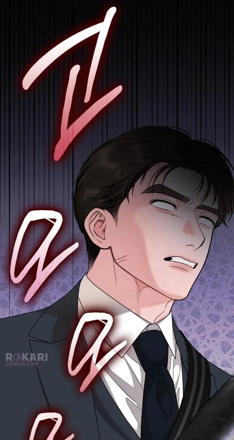 An Impulsive Marriage Proposal Chapter 27 page 13 - 