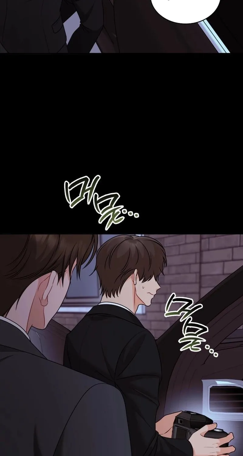 An Impulsive Marriage Proposal Chapter 27 page 48 - 
