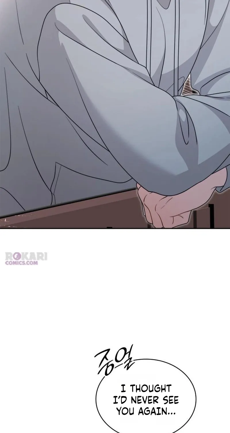 An Impulsive Marriage Proposal Chapter 28 page 18 - 