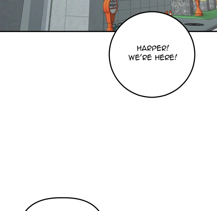 Analogue Chapter 13 page 153 - 