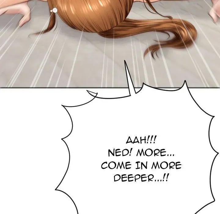 Analogue Chapter 4 page 115 - 