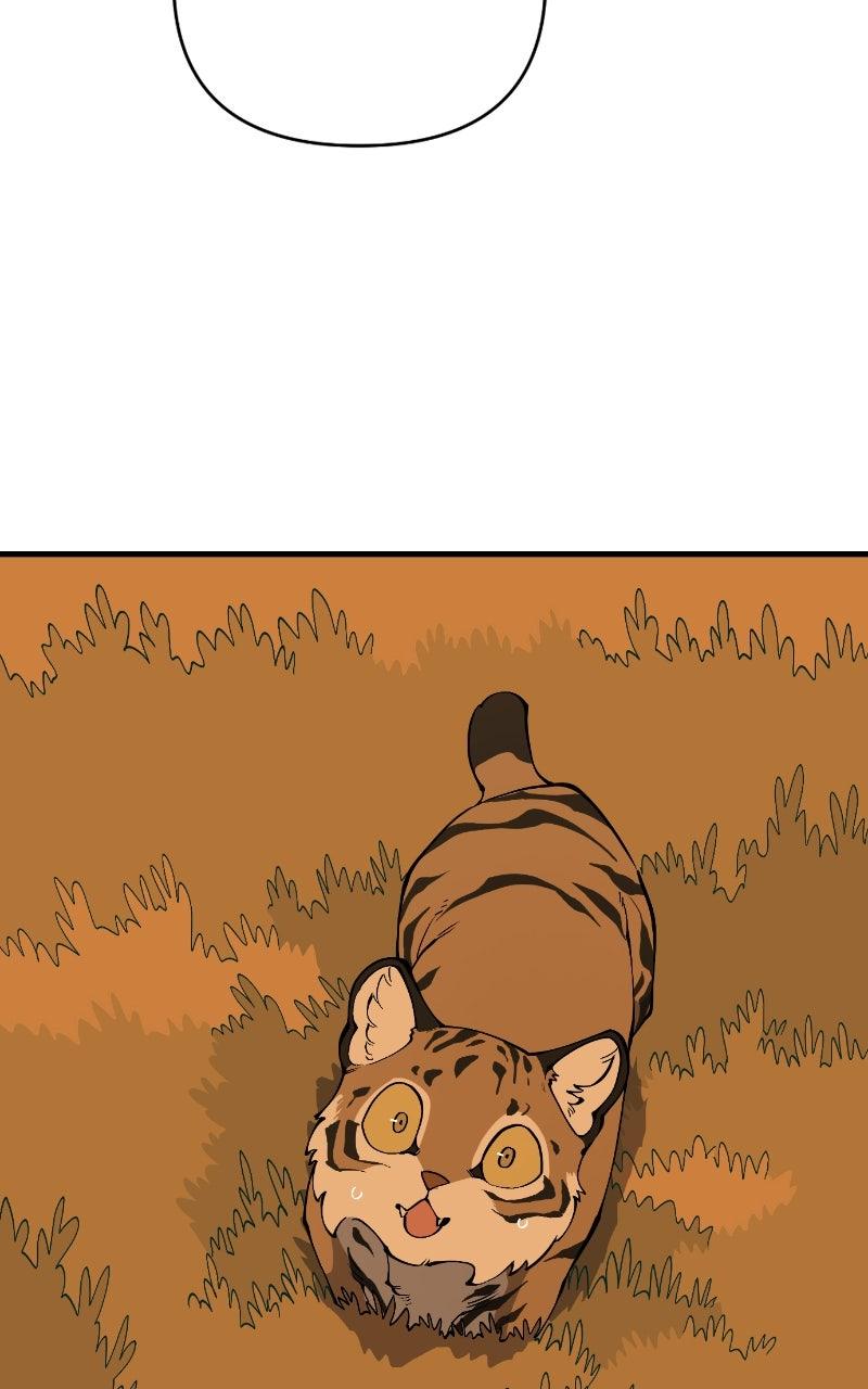 Ancient Animal Tales Chapter 68 page 110 - 