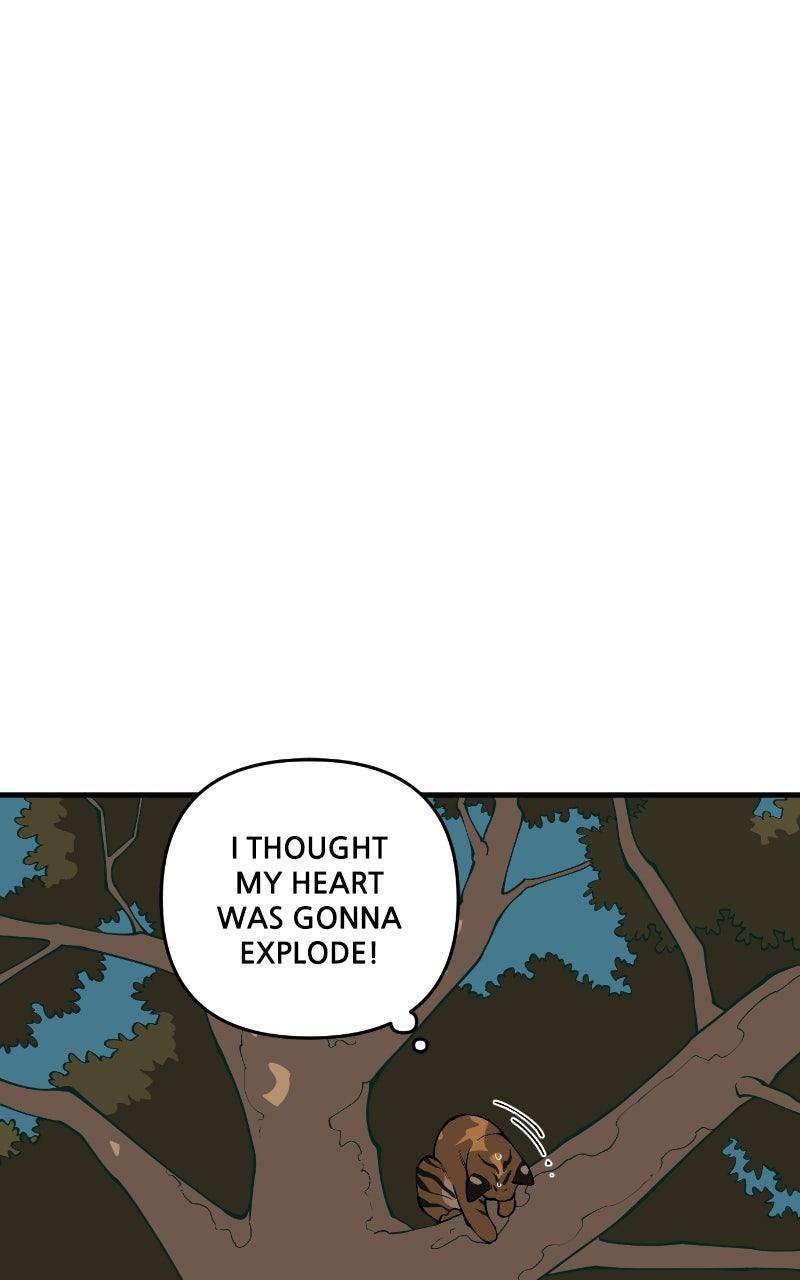 Ancient Animal Tales Chapter 68 page 37 - 