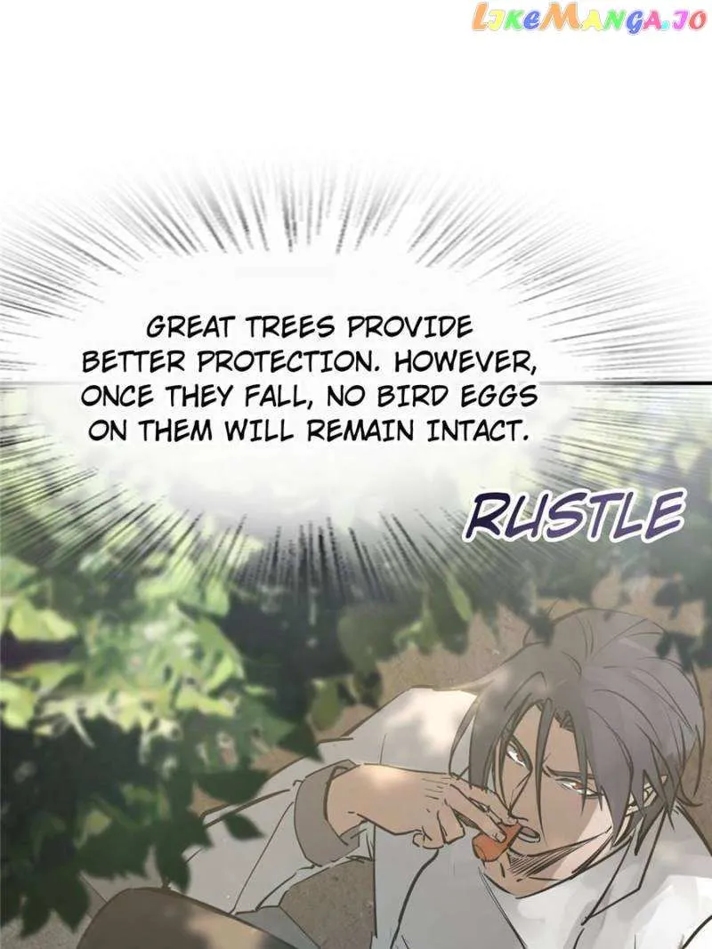 Another beginning with the Guhuo bird Chapter 248 page 26 - 