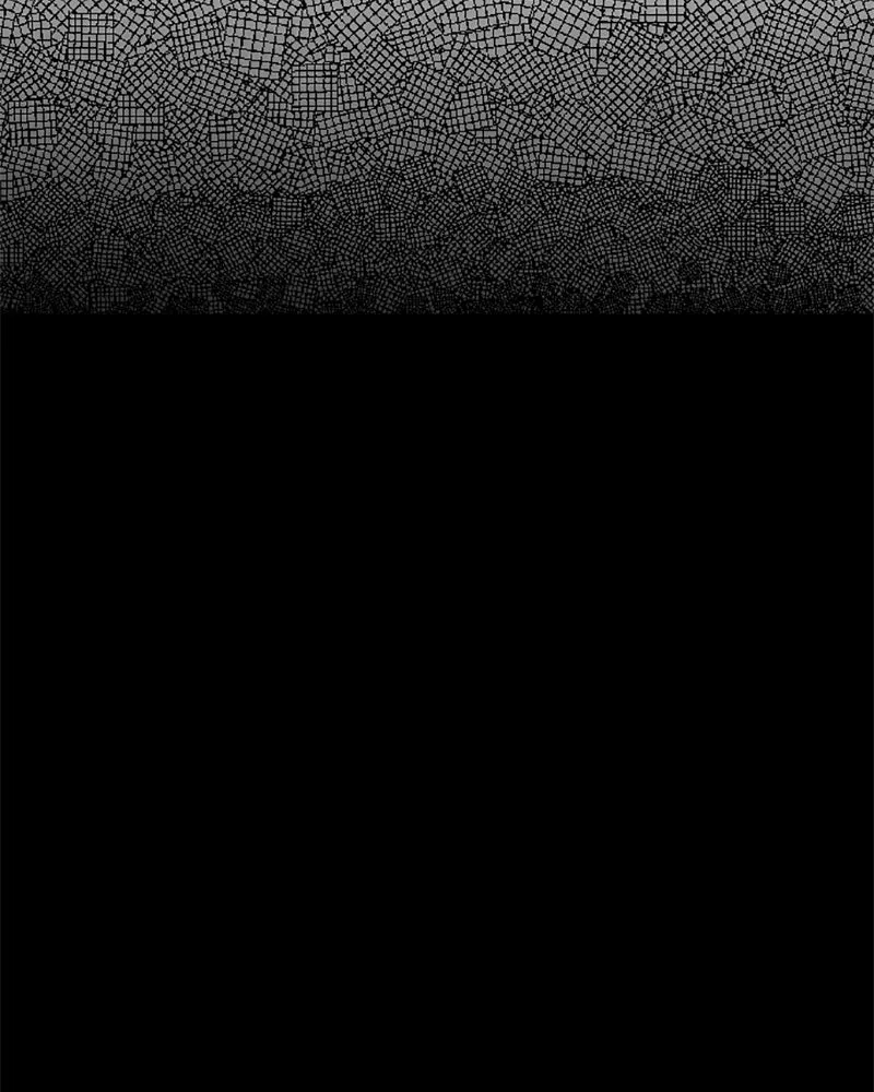 ANT Chapter 1 page 18 - 