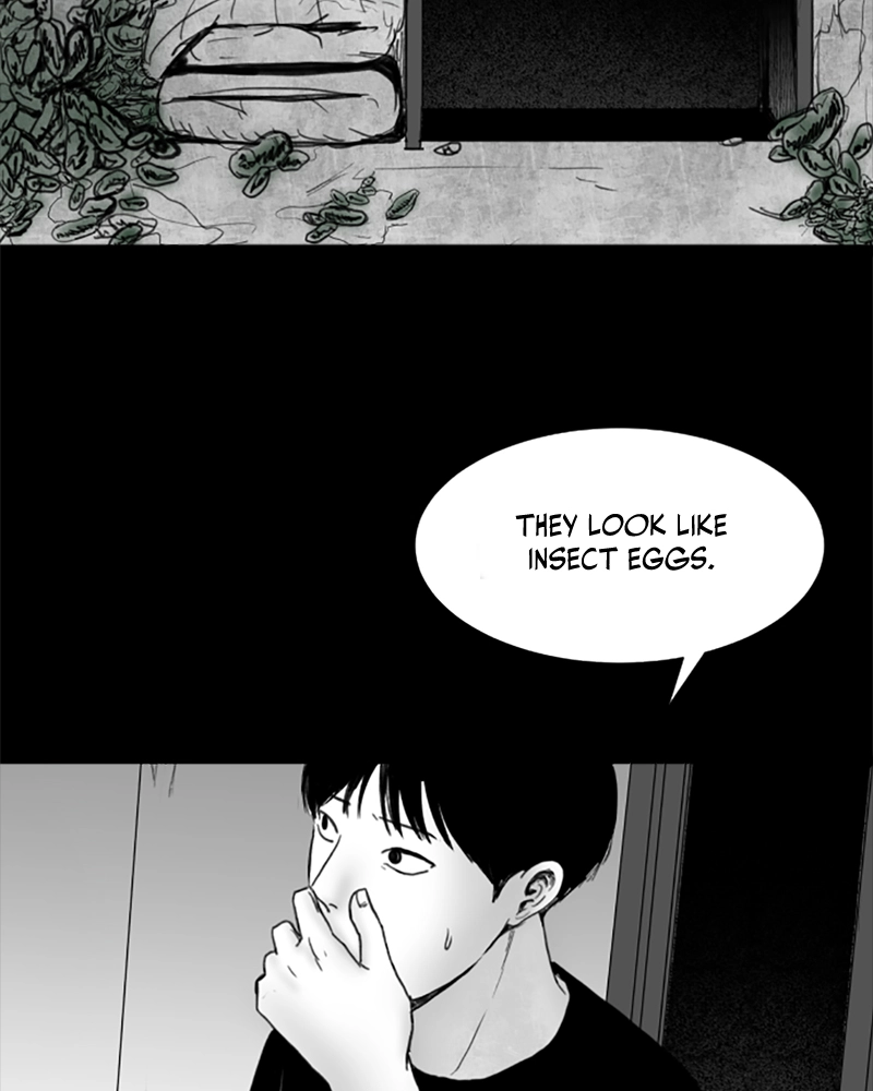 ANT Chapter 19 page 67 - 