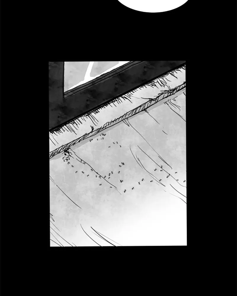 ANT Chapter 2 page 42 - 