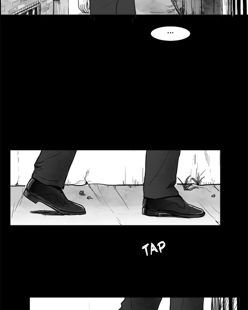 ANT Chapter 2 page 49 - 