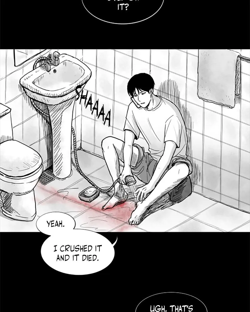 ANT Chapter 2 page 6 - 