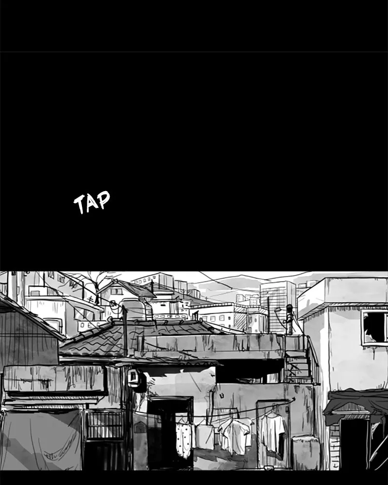 ANT Chapter 2 page 51 - 