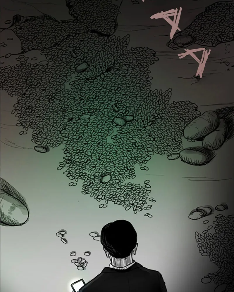 ANT Chapter 2 page 80 - 