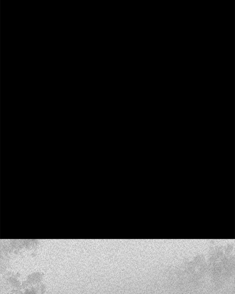 ANT Chapter 29 page 40 - 