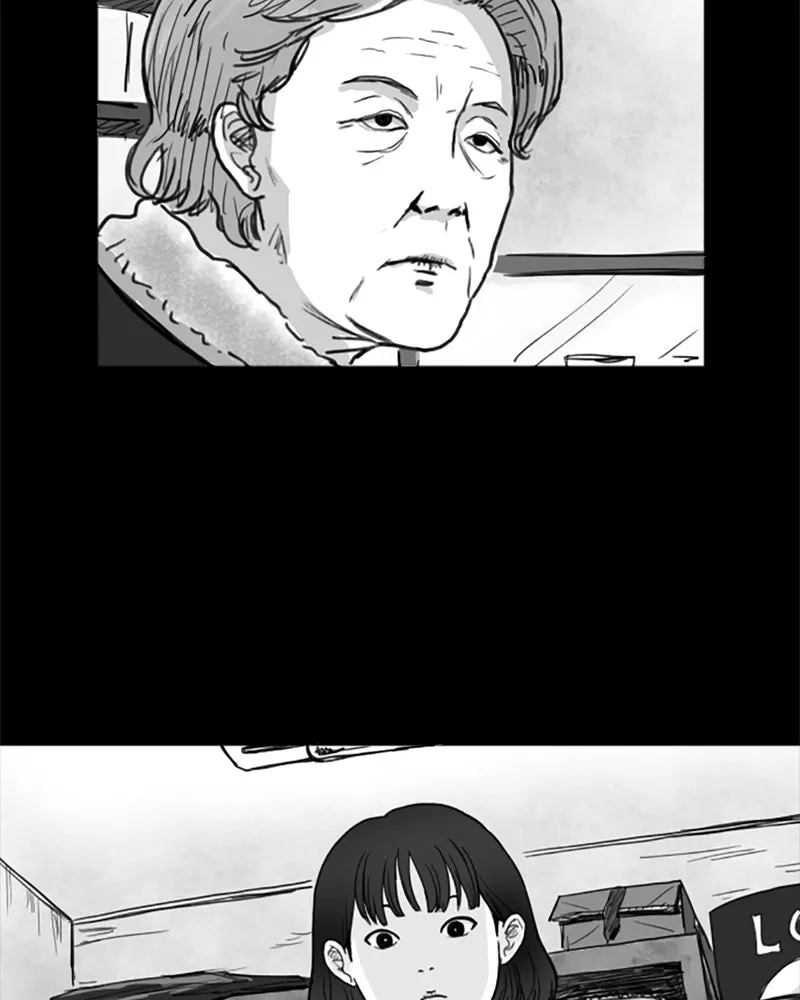 ANT Chapter 3 page 55 - 