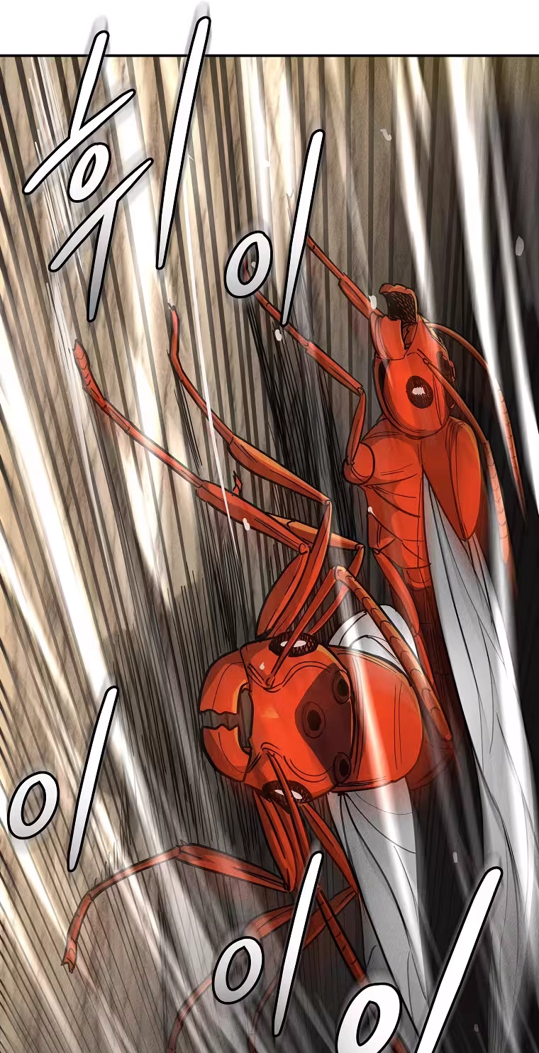 ANT Chapter 37 page 79 - 