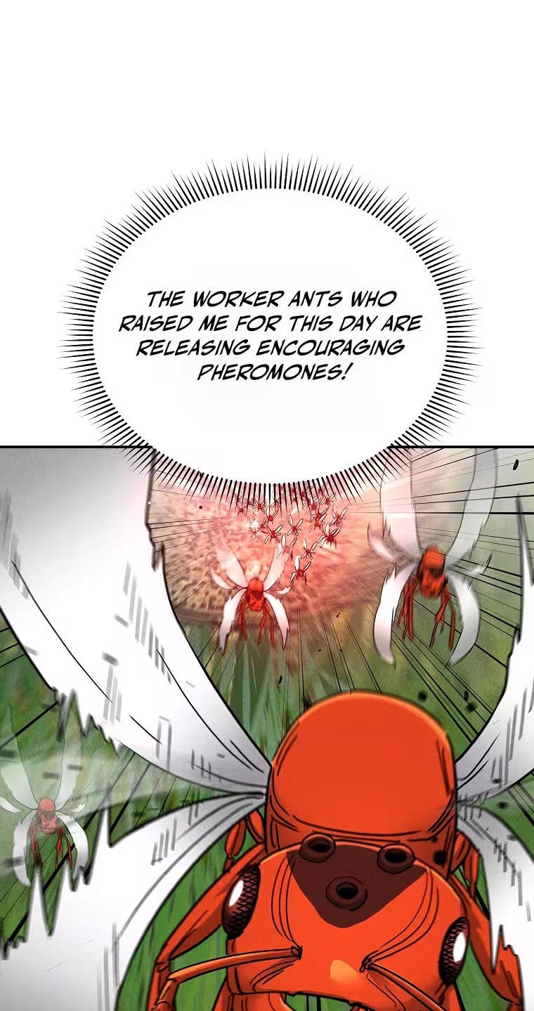 ANT Chapter 39 page 13 - 