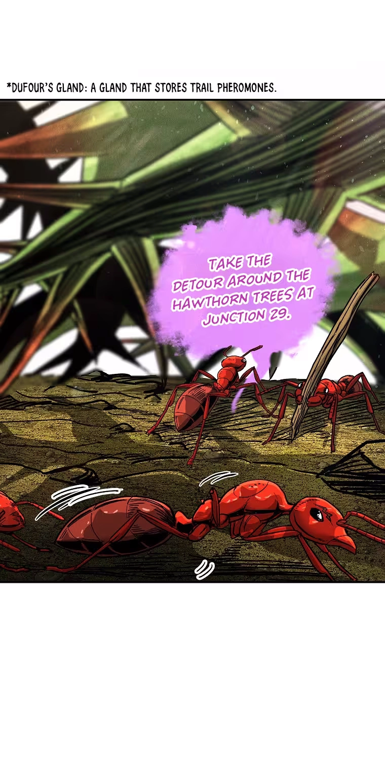 ANT Chapter 40 page 56 - 