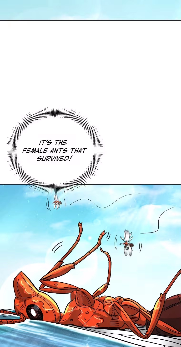 ANT Chapter 41 page 48 - 